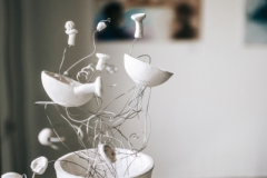 MDJ_7532